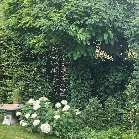 Διαμέρισμα Gemuetliche Mit Sauna *